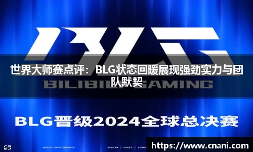 zoty中欧平台